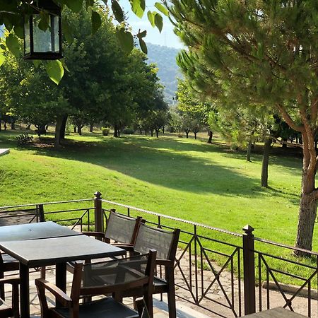 Hotel Marathia Arta Ngoại thất bức ảnh